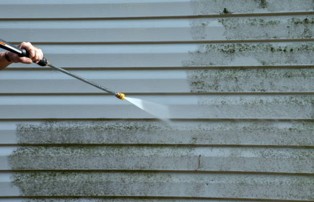 Roof Power Washing Services in St Louis, MI