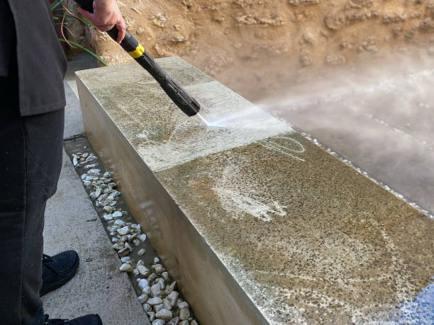 Best Roof Power Washing Services  in St Louis, MI