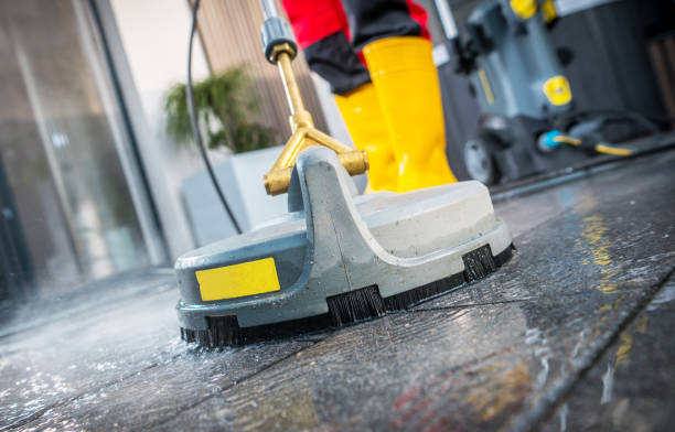 Best Local Pressure Washing Services  in St Louis, MI