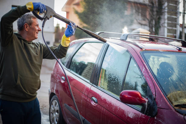Best Roof Pressure Washing  in St Louis, MI