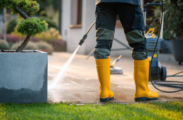 Best Deck Cleaning Services  in St Louis, MI